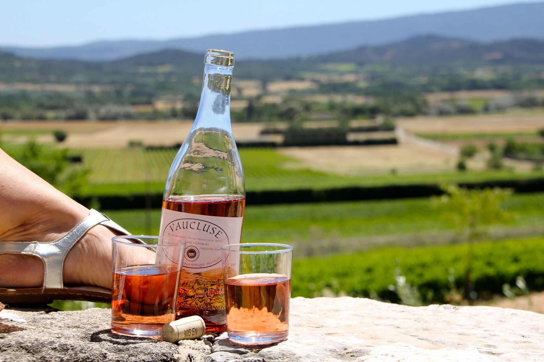 Guide privéFlâneur expliquant l'histoire d'un vignoble en Provence